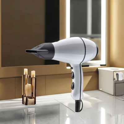 Sèche-cheveux professionnel à moteur AC avec une puissance de 1800W/2000W, 2 vitesses et 3 réglages de température pour salon et usage domestique