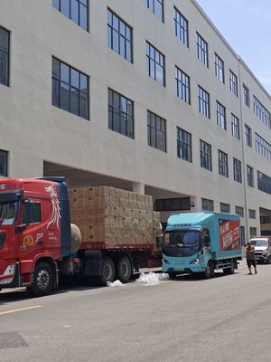 Brosse Sèche-Cheveux Électrique Multifonction avec Brosse Ovale pour un Coiffage Facile à la Maison, en Salon ou en Voyage